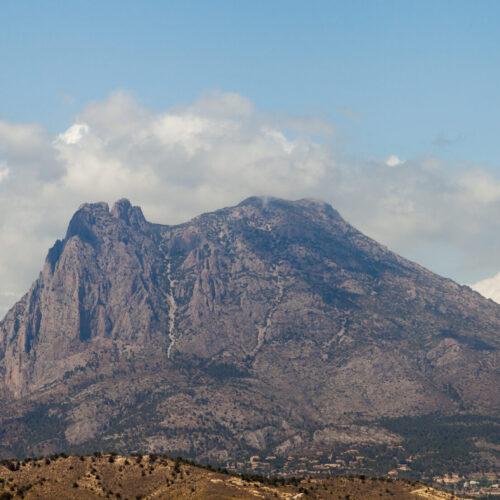puig campana